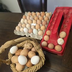 Fresh Farm Eggs