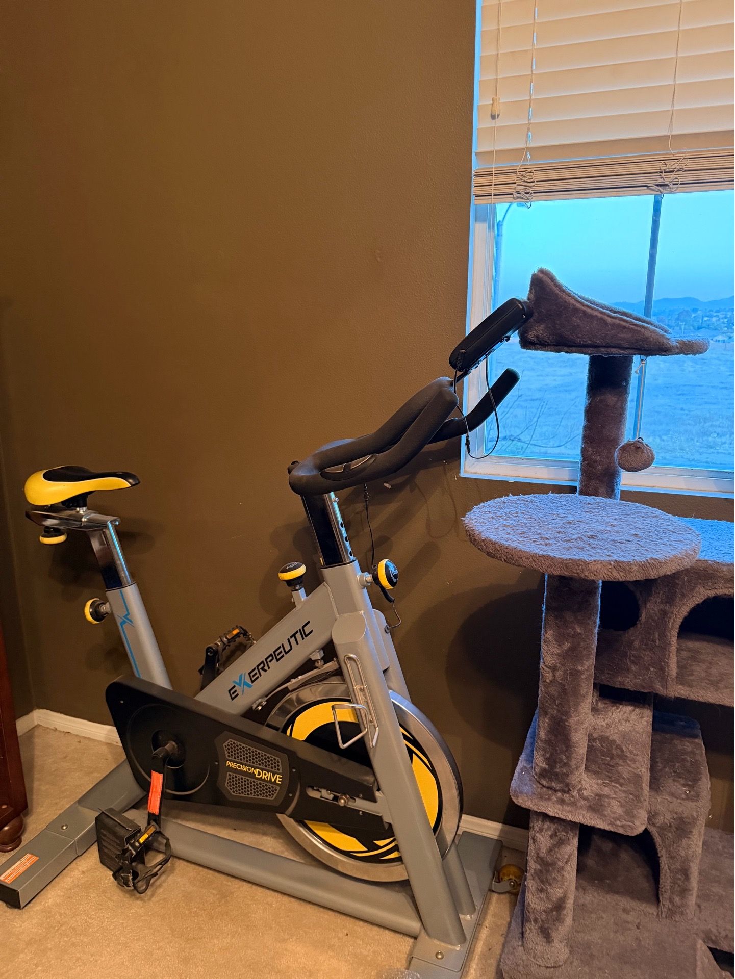 Exercise Bike