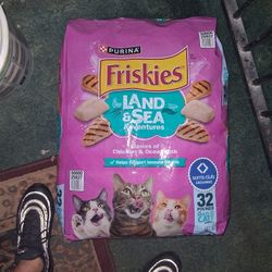 Catfood