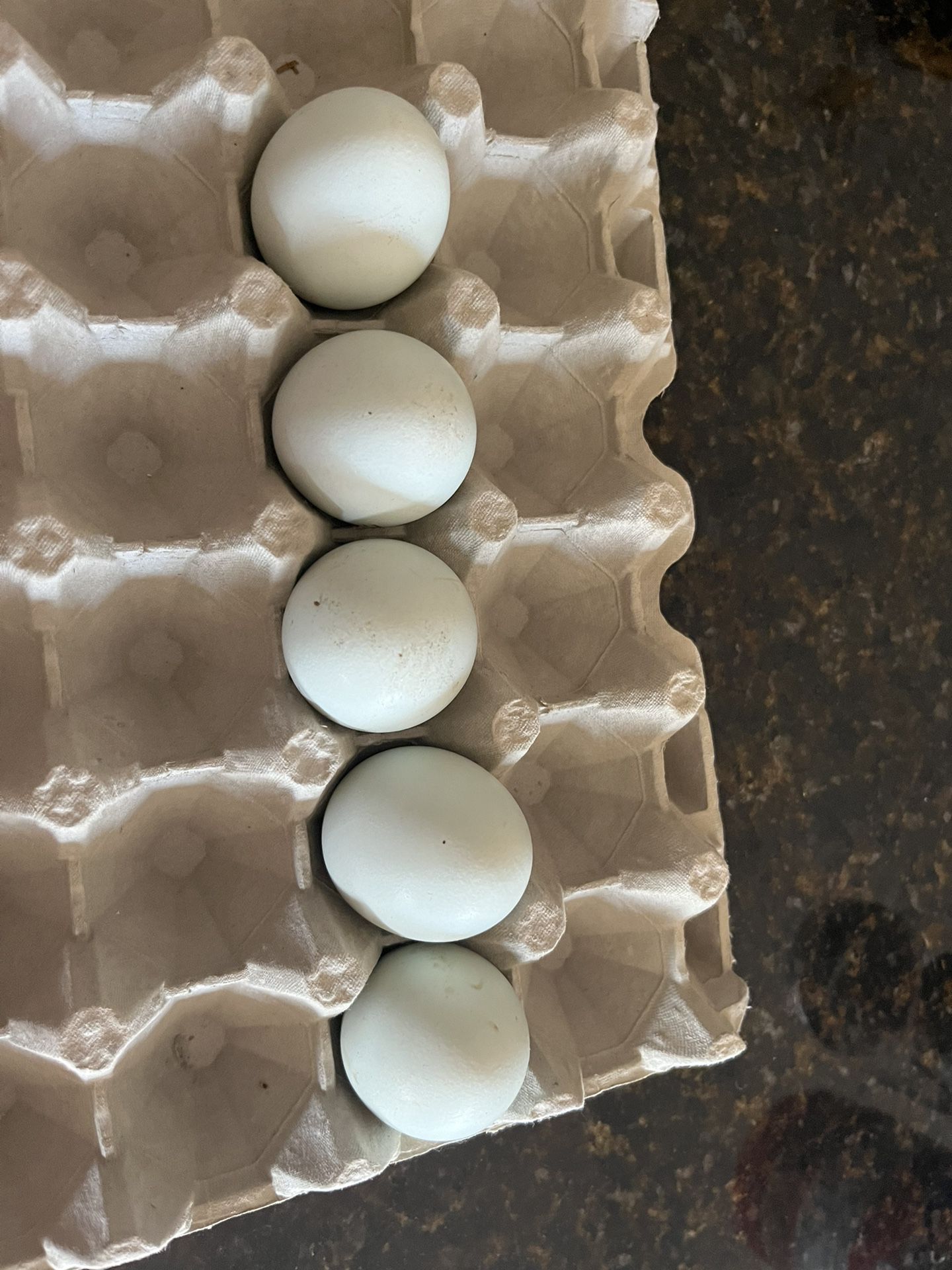 Eggs  🥚 $2