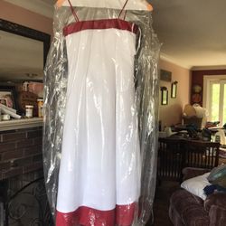 Girls Gown for Dress-up or Special Ocassion By David’s Bridal size 6