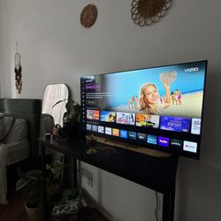 $100 NEW 40 Inch NEW VIZIO SMART TV $125 OBO