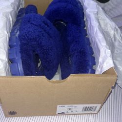 Royal Blue Ugg slippers 
