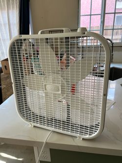 Fan