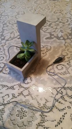 Kikkerland USB powered concrete planter and lamp