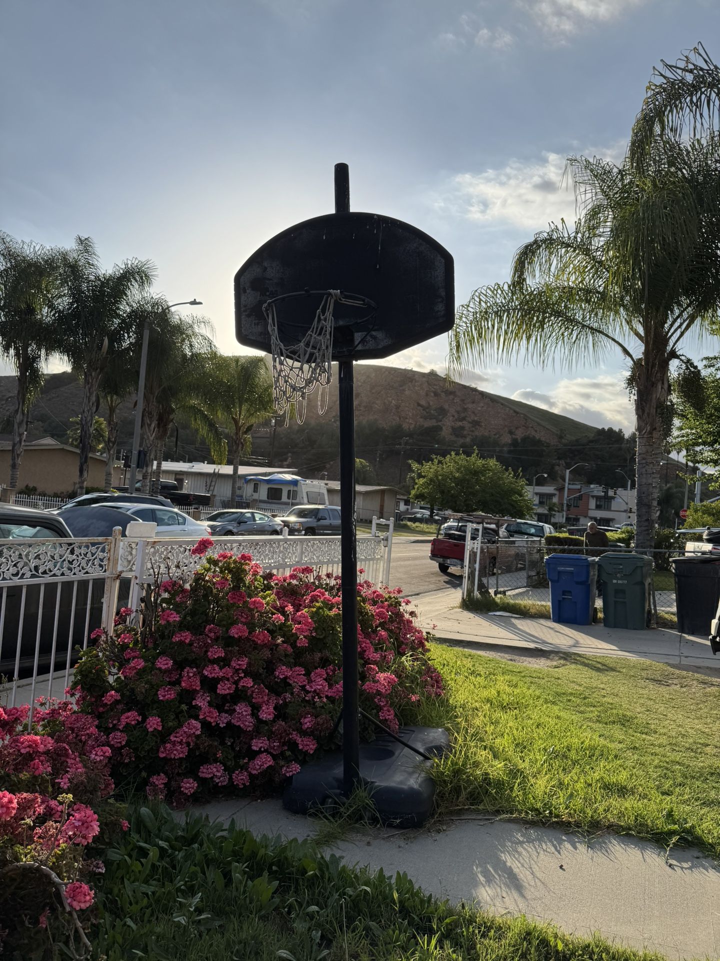 Basketball Hoop