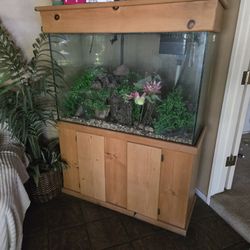 Fish Tank