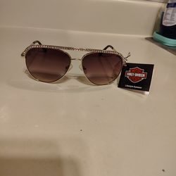 Harley-Davidson sunglasses