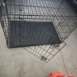 retriever dog cage 