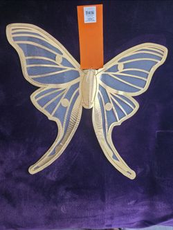 Hyde & EEK! Boutique kid's gold-trimmed butterfly-fairy wings