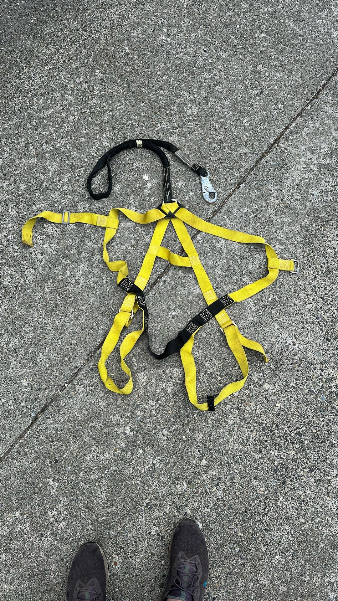 Safety Harness