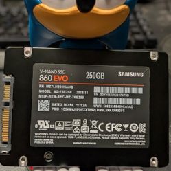 Samsung 860 EVO 250 GB