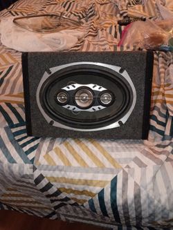 Pioneer Speaker Woofer