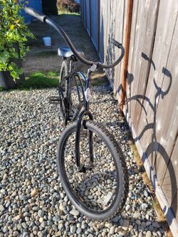 REI.  Electra Brand Bike. Large