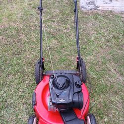 Self Propelled Lawns Mowers 