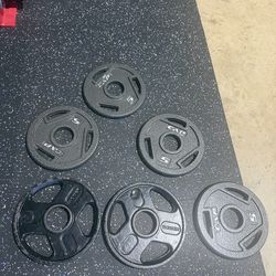 5 Lb Olympic Weight Plates (6)