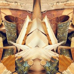 Seasoned Firewood $100 1/2 $200 Full Cord