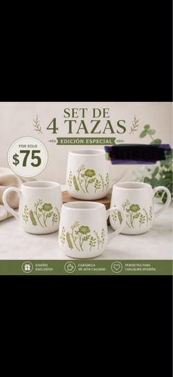 Tazas wildflower princess house