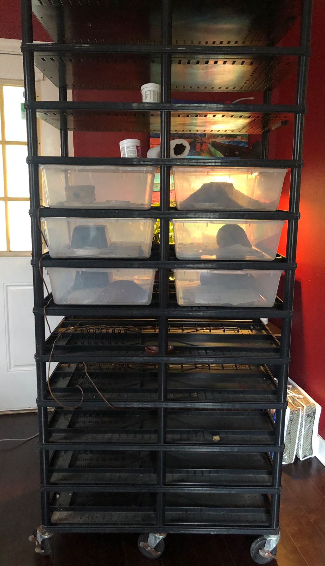 Reptile shelving system for Sale in Orlando, FL OfferUp