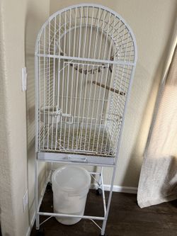 Birdcage