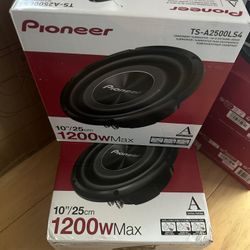 10 Inch Pioneer Shallow Subwoofer 