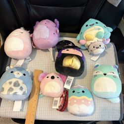 5” Squishmallows 