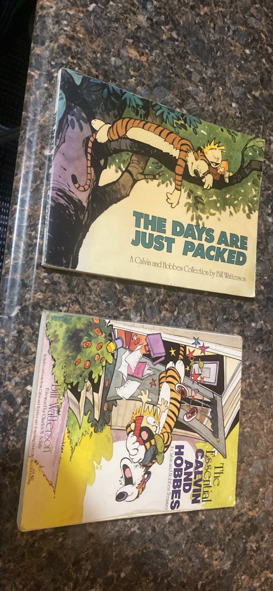 Calvin And Hobbes Book Comics