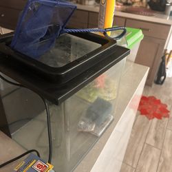 FISH TANK 3 Gallon And All Accessories 
