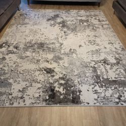 Living Room Carpet