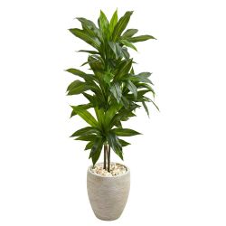 Real Touch 4 ft. Indoor Dracaena Artificial Plant in Sand Planter