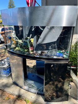 Large bow front aquarium