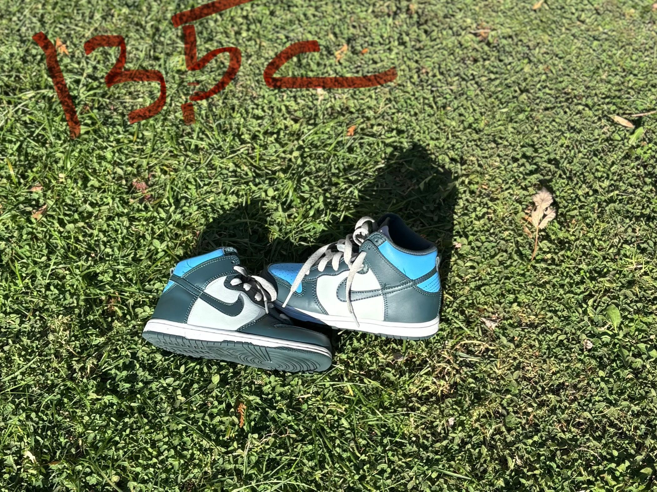 Kids Dunks
