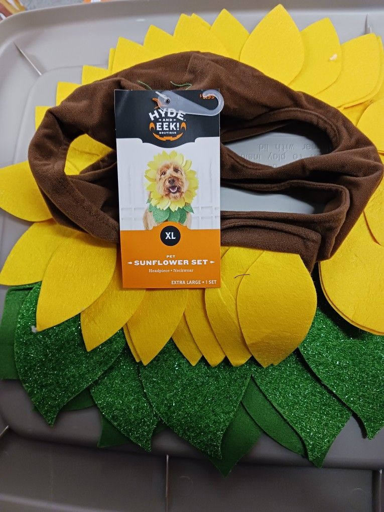 Sunflower Dog Costume