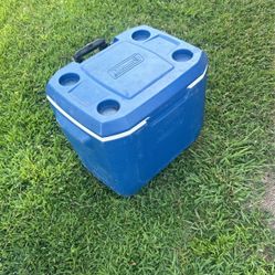 Blue Igloo Cooler