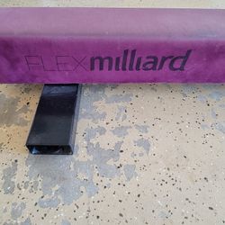FREE -8' Millard Adjustable Balance Beam