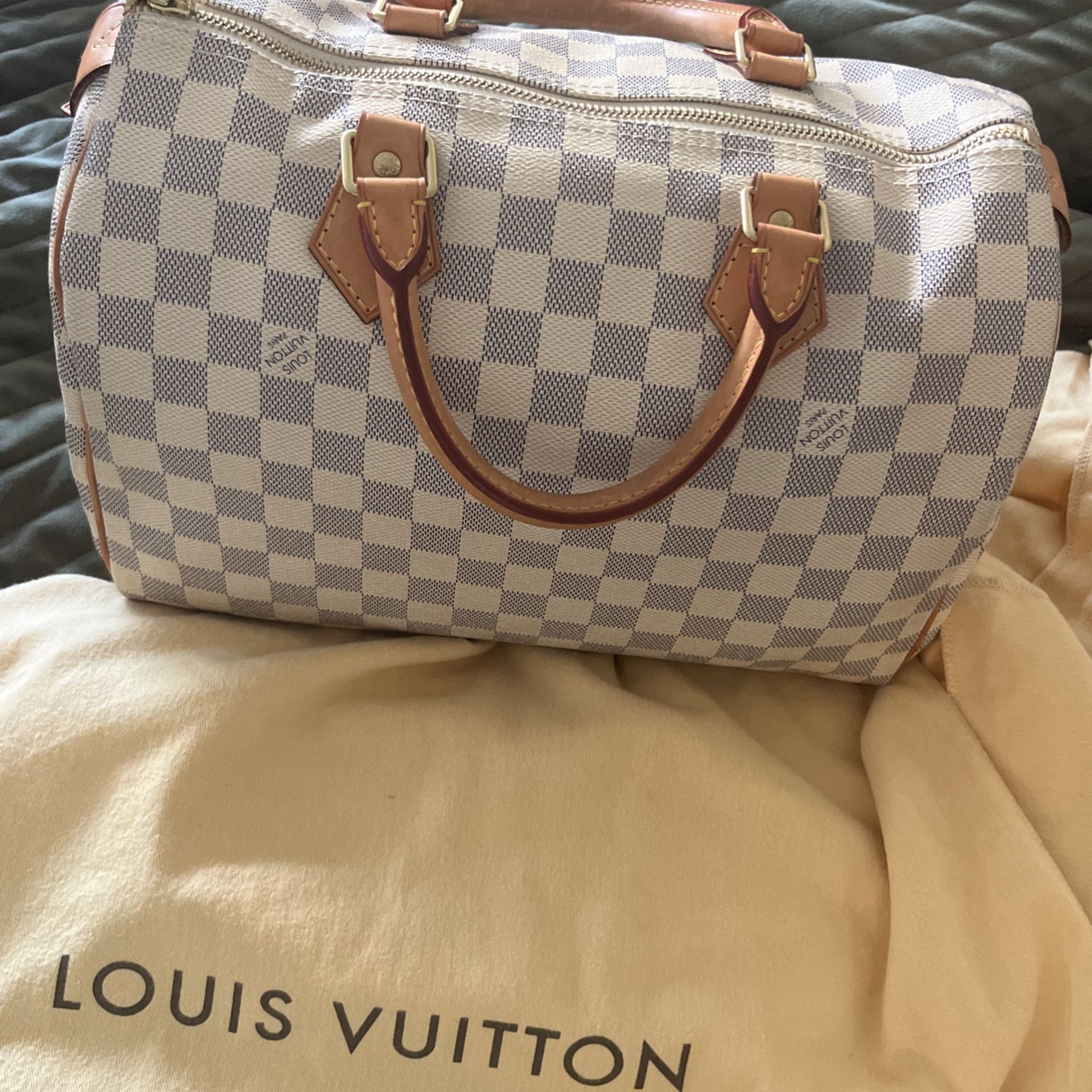 Louis Vuitton Bag 