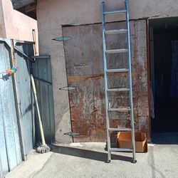 Werner Ladder