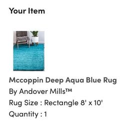 Aqua Blue Shag Rug 8’x10’