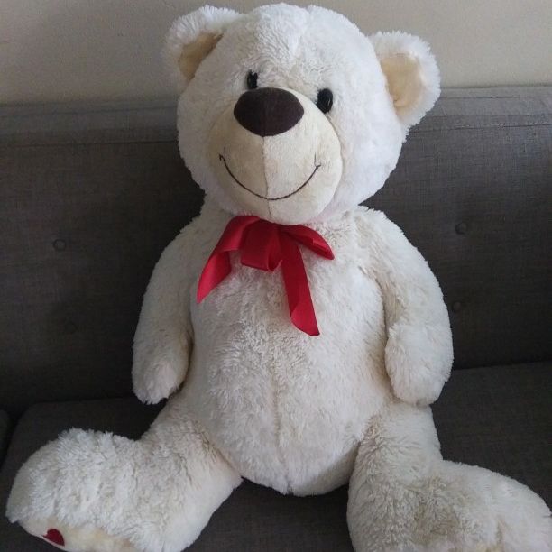 New Teddy Bear