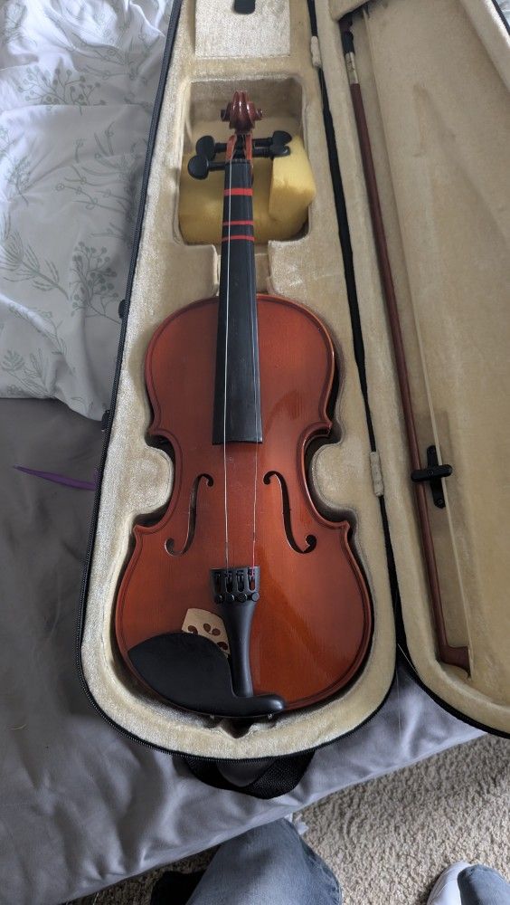 Violin