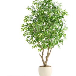 Artificial Plants 8 Ft Tall With Vase 