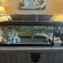 Complete 20-Gallon Turtle Habitat Setup – Everything Included!