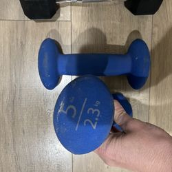 Five Pound Dumbbell Weights Neoprene
