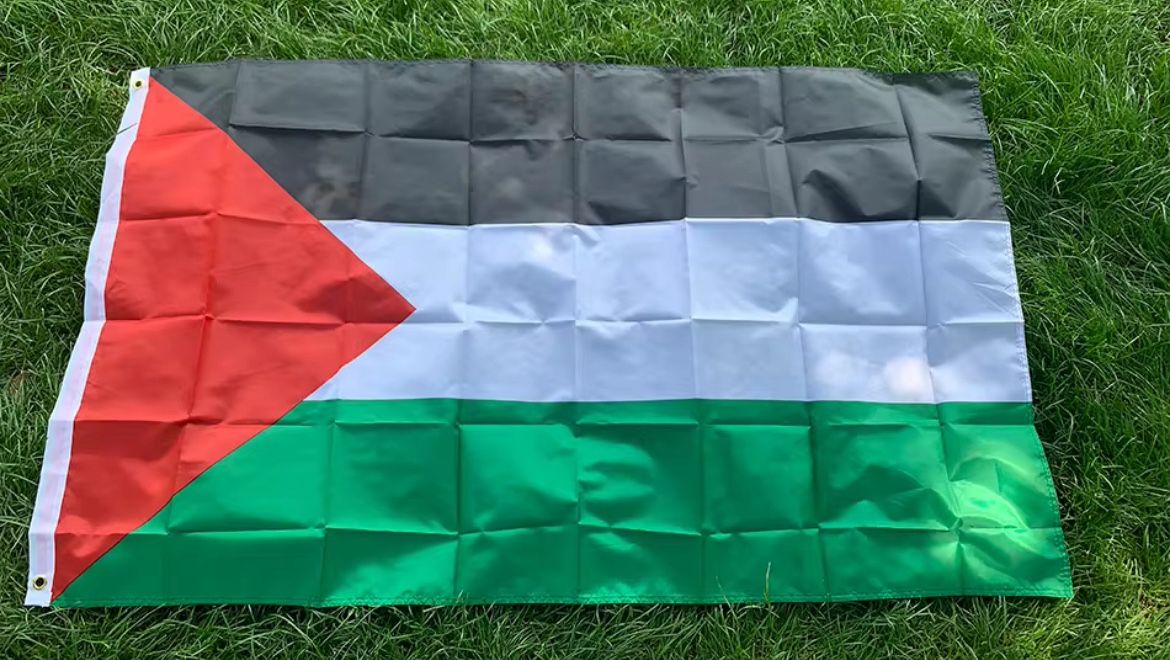 Palestine flag 