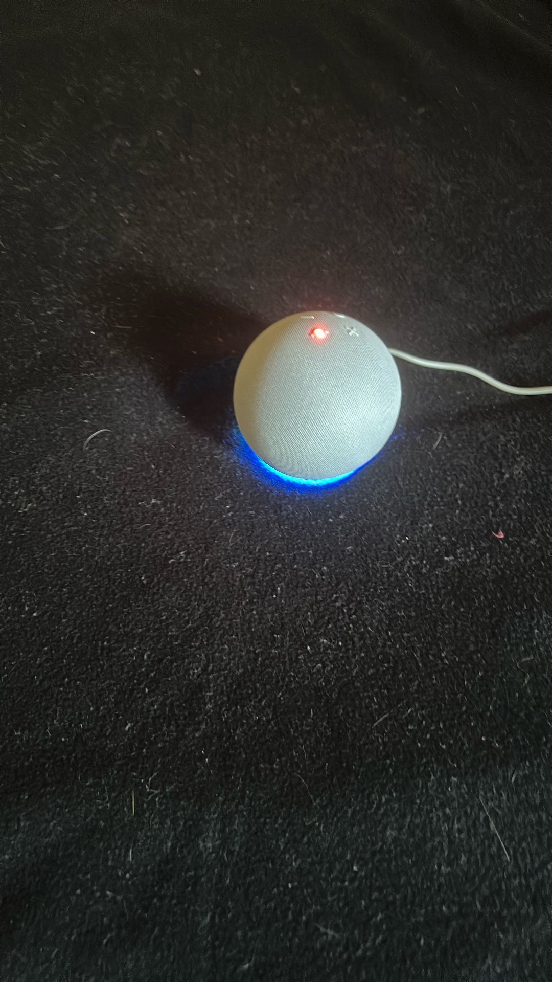 Amazon Echo Dot