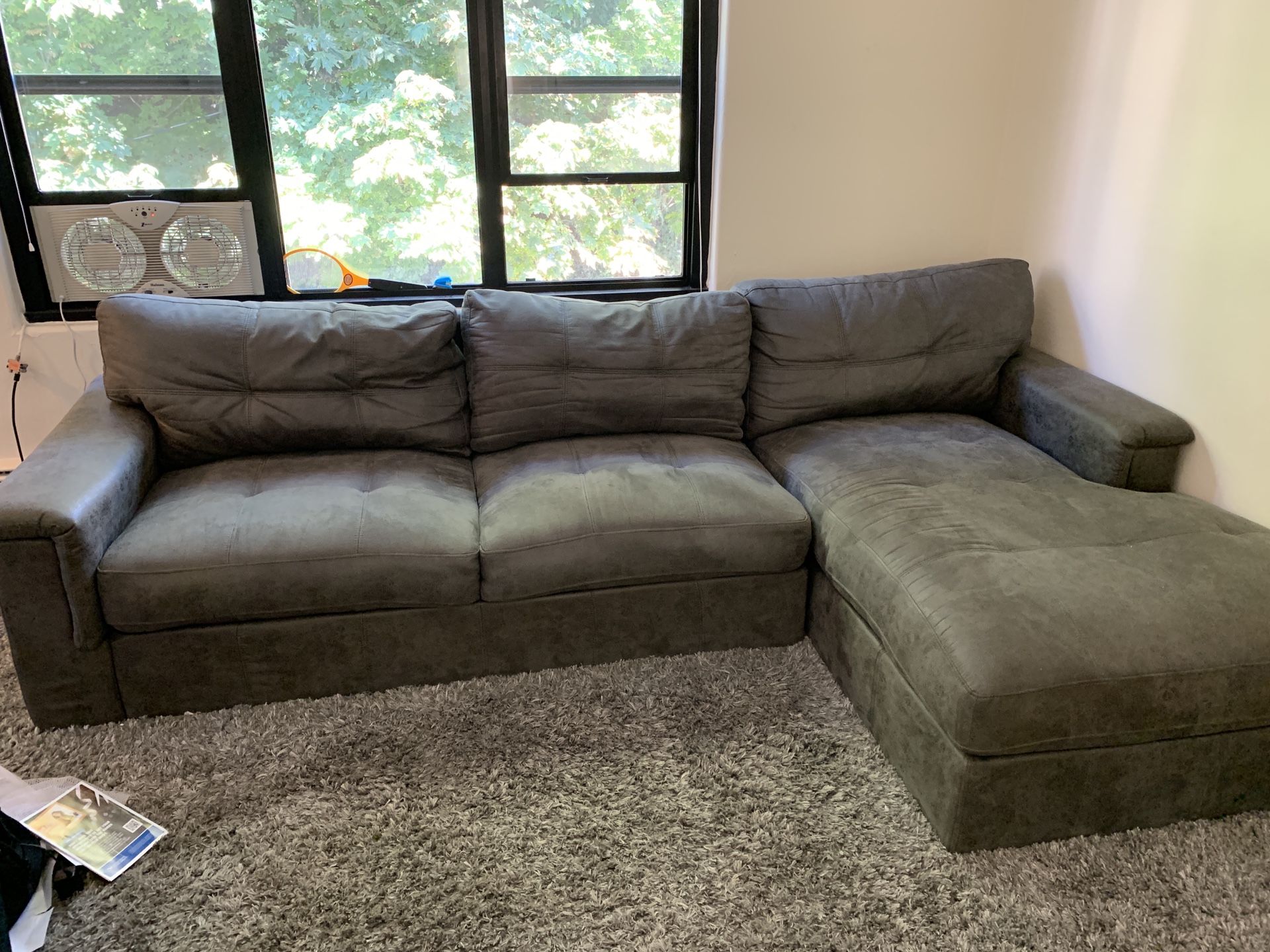 Affordable Sectional Couch & Rug