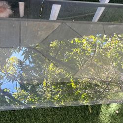 Patio Table