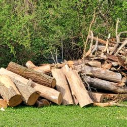 Excellent Firewood or Woodworking Crafts
