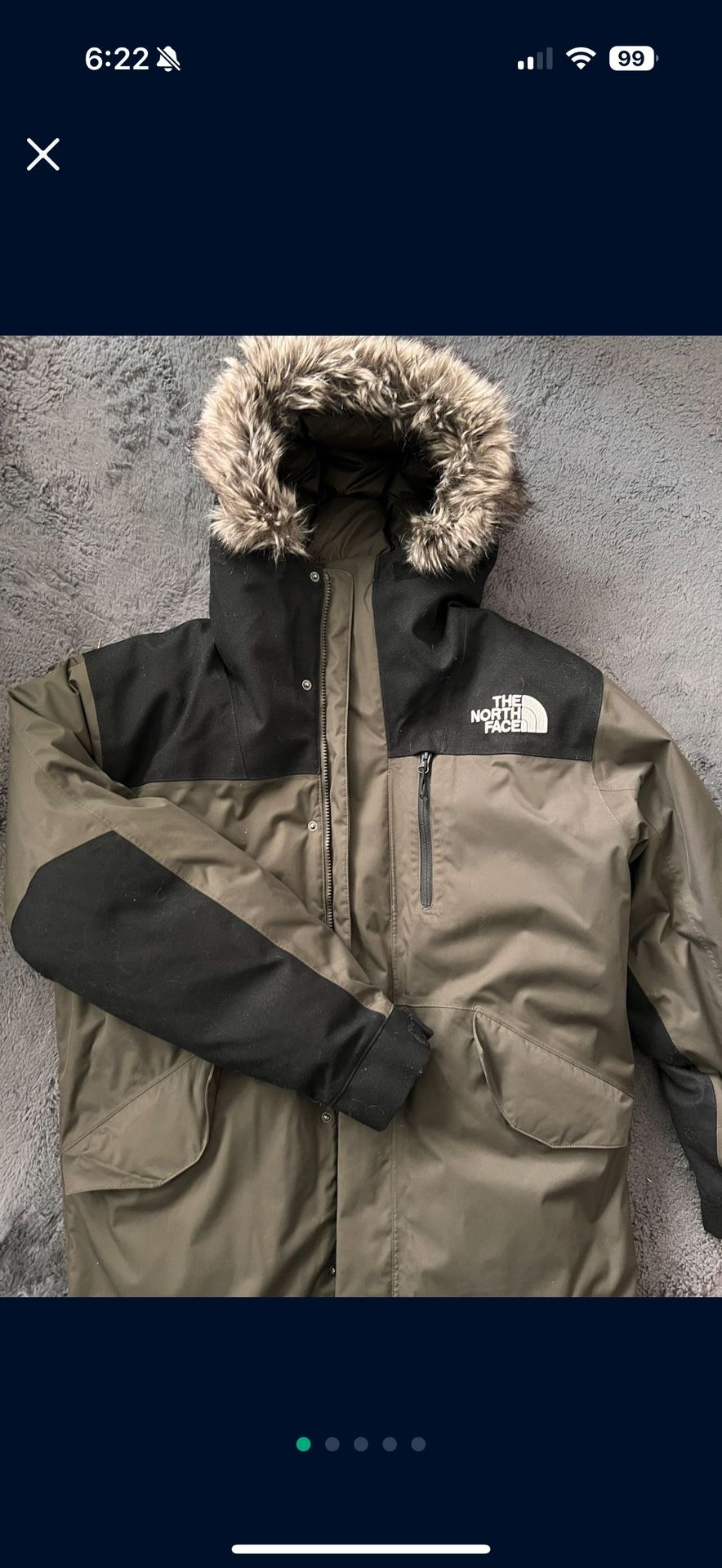 North Face Winter Jacket