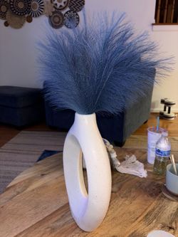 Blue pampas